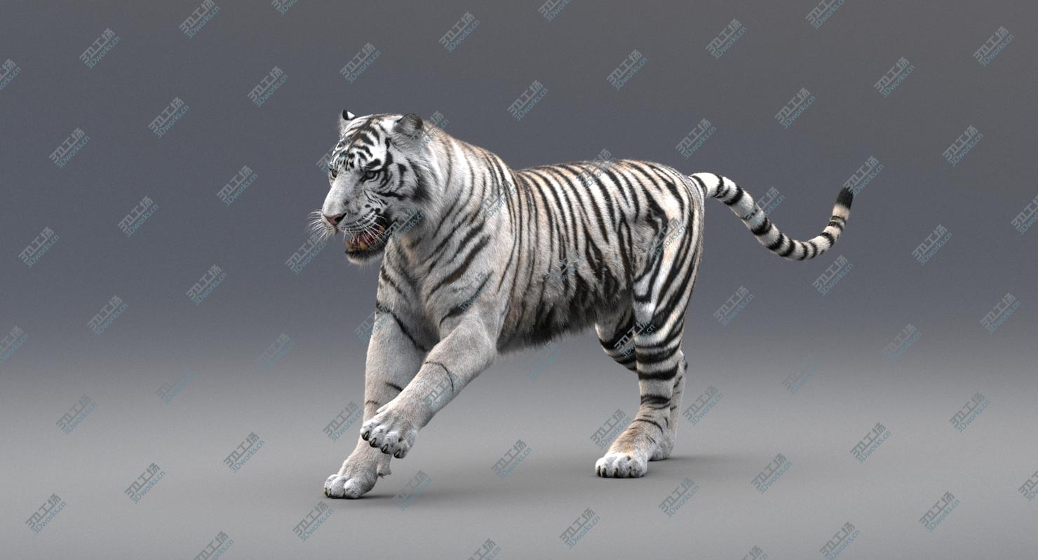 images/goods_img/202104094/3D White Tiger Animated (Fur)/2.jpg